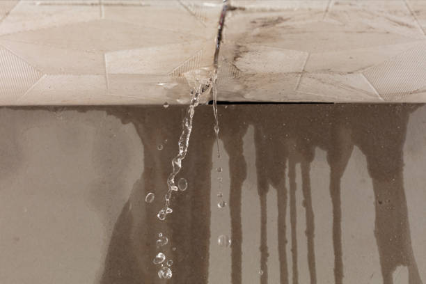 Professional Flood Damage Cleanup technician working in Toledo, WA
